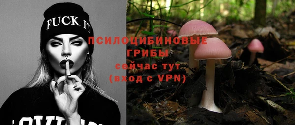 меф Белокуриха