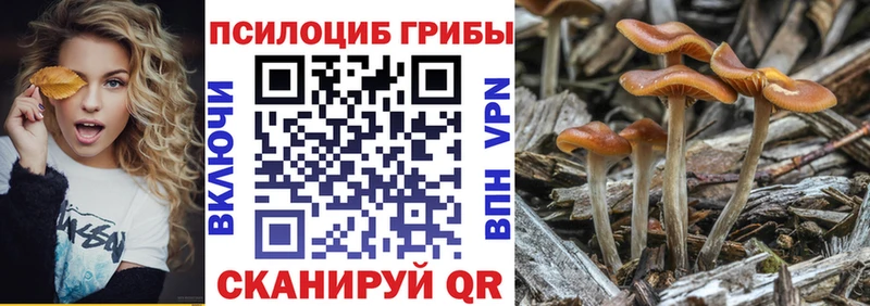 ссылка на мегу рабочий сайт  Вятские Поляны  Псилоцибиновые грибы GOLDEN TEACHER 