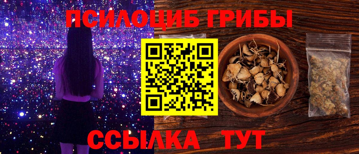 Псилоцибиновые грибы ЛСД  Псилоцибиновые грибы мицелий  Вход с VPN  Вятские Поляны 
